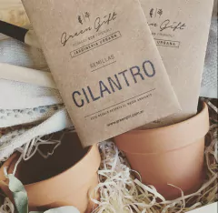 Cofre de cultivo de Hierbas Aromáticas - comprar online