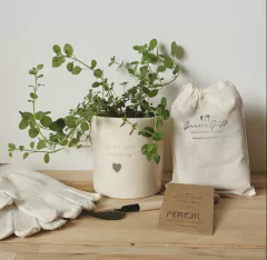 Aromática con kit de cultivo