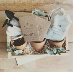Cofre de cultivo de Hierbas Aromáticas
