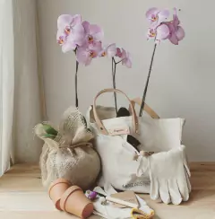 Kit Garden bag Orquídeas - Merz Aesthics