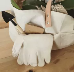 Orquídea con bolsa de jardinería - comprar online