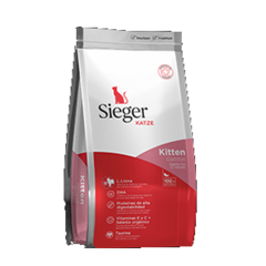 Sieger Katze Kitten 7.5Kg