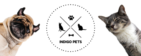 Indigo Pets 