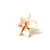 Anillo Frangy