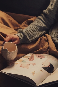 Mi abuela tiene un león - comprar online