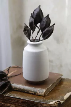 Florerito Begonia - comprar online