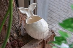 Ballena Natural - comprar online