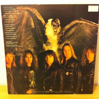 Iron Maiden - Fear Of The Dark [LP Duplo] - 180 Selo Fonográfico