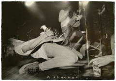 Mudhoney ‎- Superfuzz Bigmuff [LP]