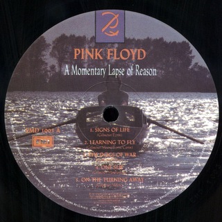 Pink Floyd - A Momentary Lapse of Reason [LP] na internet