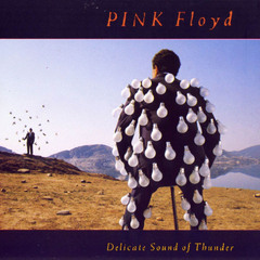 Pink Floyd - Delicate Sound of Thunder [LP Duplo]