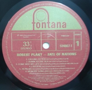 Robert Plant - Fate of Nations [LP] na internet