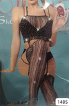 Body1485