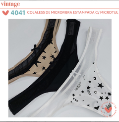 Vin4041 - comprar online