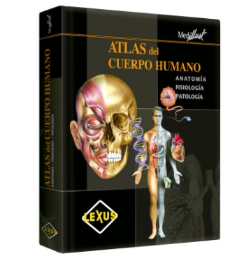 Atlas del Cuerpo Humano - Anatomía - Fisiología - Patología.