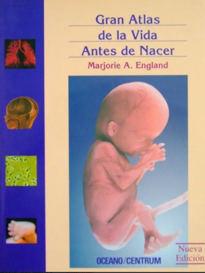 Gran atlas de la vida antes de nacer -