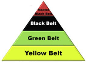 Curso en Campus Virtual, con autotest de respuestas, Intercambio de mensajes con el Profesor Tutor y Certificación Green Belt. - Libro directo a tu casa