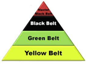 Curso Six Sigma / Certificación Green Belt / Calidad - Total / Kaizen / - tienda online