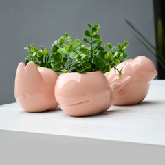 Maceta PALOMA Rosa - comprar online
