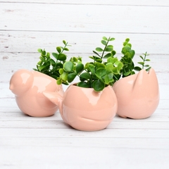 Maceta Ballena Rosa - comprar online