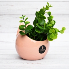 Maceta CONEJO Rosa - MUDO Objetos | Objetos de diseño
