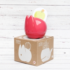 Colección Completa Macetas Animales Coral - tienda online