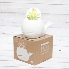 Imagen de Colección Completa Macetas Animales Blanco