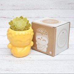 MACETA Guerrero ZEN Mediana - MAIZ - comprar online