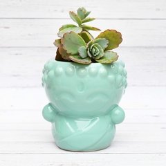 MACETA Guerrero ZEN Mediana - VERDE MENTA