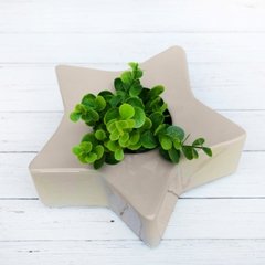 MACETA ESTRELLA Visón