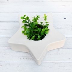 MACETA ESTRELLA Crudo - MUDO Objetos | Objetos de diseño