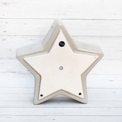 MACETA ESTRELLA Visón - MUDO Objetos | Objetos de diseño