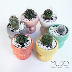 verde menta Guerrero maceta cactus diseño planta suculenta objeto escritorio regalo empresariaL