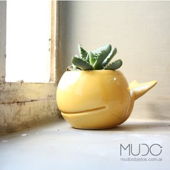 macetas cactus animales ceramica mudo objetos decoracion ballena ballenita conejo paloma