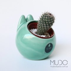 maceta animal conejo paloma ballena ceramica mudo objetos cactus suculentas