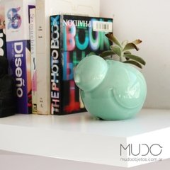 macetas cactus animales ceramica mudo objetos decoracion ballena ballenita conejo paloma  