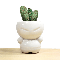 crudo Guerrero maceta cactus diseño planta suculenta objeto escritorio regalo empresariaL