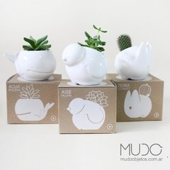 macetas cactus animales ceramica mudo objetos decoracion ballena ballenita conejo paloma