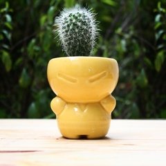 MAIZ Guerrero maceta cactus diseño planta suculenta objeto escritorio regalo empresariaL