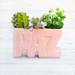 MACETA PAZ Rosa