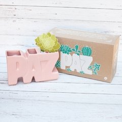 MACETA PAZ Rosa - comprar online