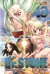 DR STONE 13