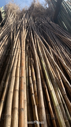 Cañas Colihues de 4 mts - comprar online