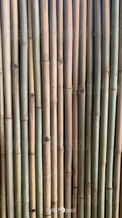 Cañas 3.50 a 5.50 cm x 2 mts x unidad
