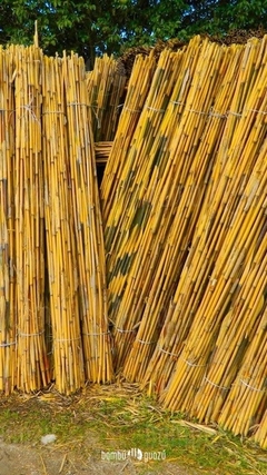 Cañas japónicas tercera 5-20 mm x 2 metros paquete 100 unidades