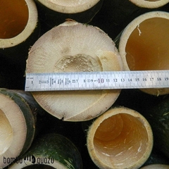Caña Tacuarón x 1.80 a 2 mts - comprar online