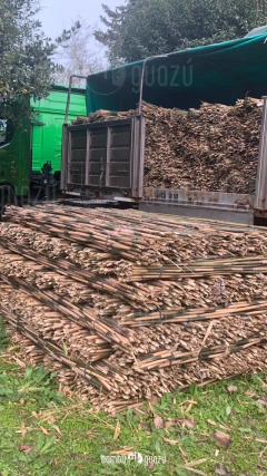 Cañas japónicas primera 14 a 24 mm x 2 metros paquete 50 unidades