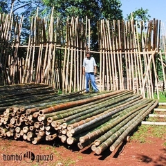 Caña Tacuarón x 1.80 a 2 mts - BambuGuazu