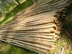 Varas finas de 3, 4 y 5 mts de largo