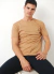 Remera Básica Caqui en internet